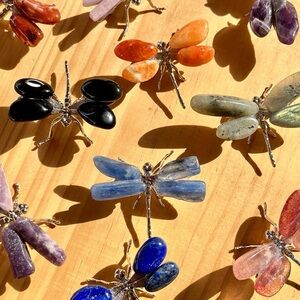 Dragonfly spirit animal stone 🤍